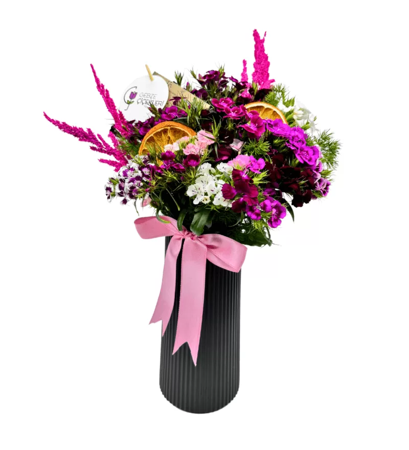 Midnight Vazoda Hüsnuyusuflar