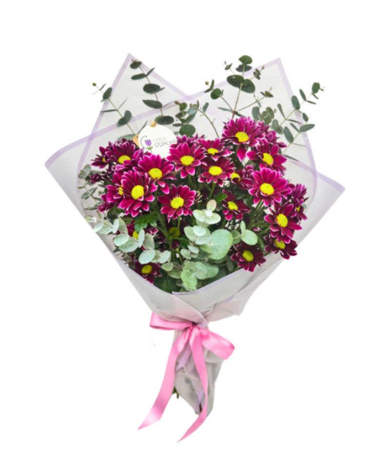 Purple Haze Pembe Papatya Buketi