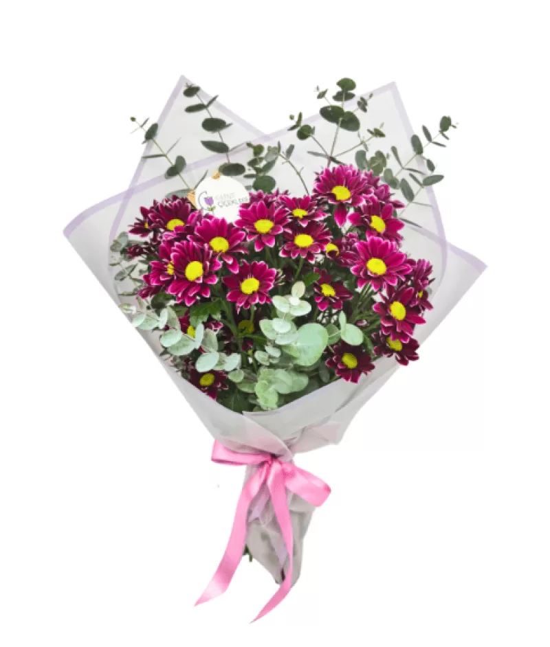 Purple Haze Pembe Papatya Buketi