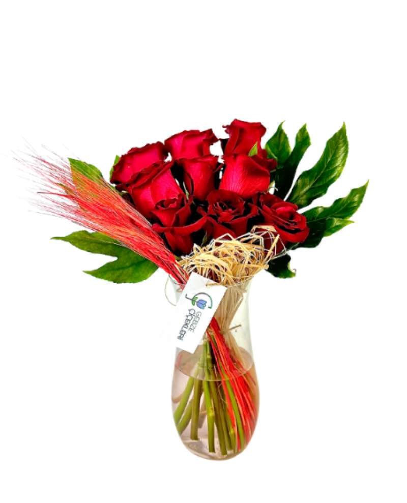 Love Serie's Vazoda 9 Kırmızı Gük