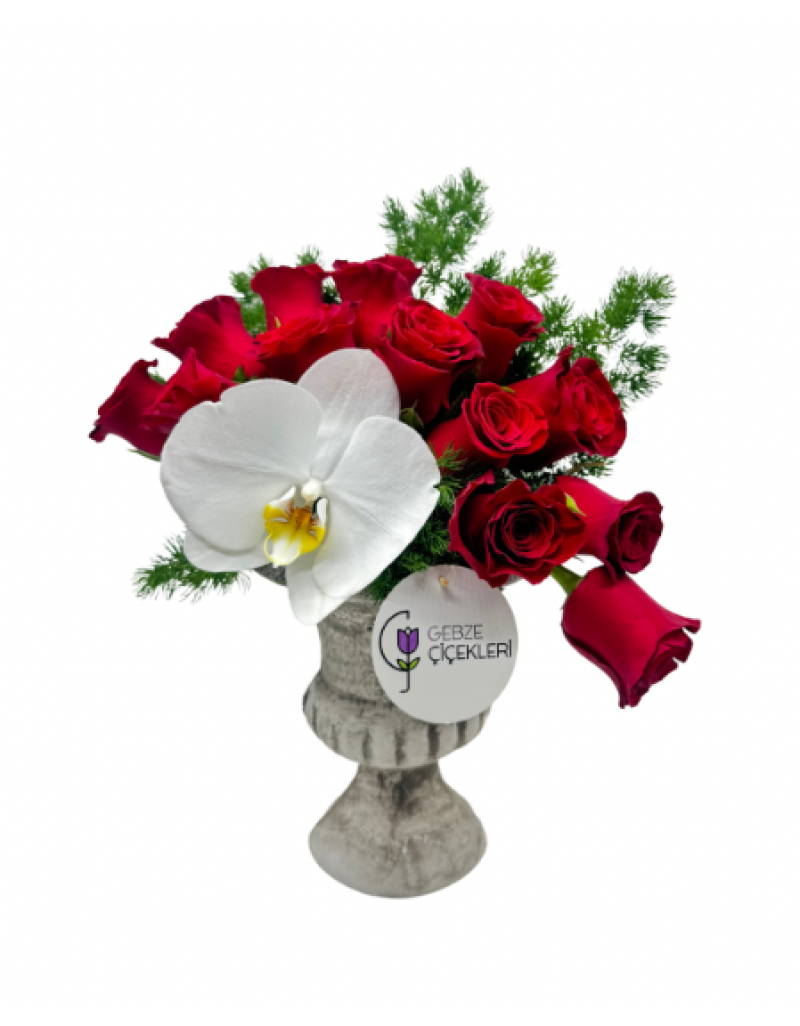 Scarlet Kırmızı Gül Aranjmanı