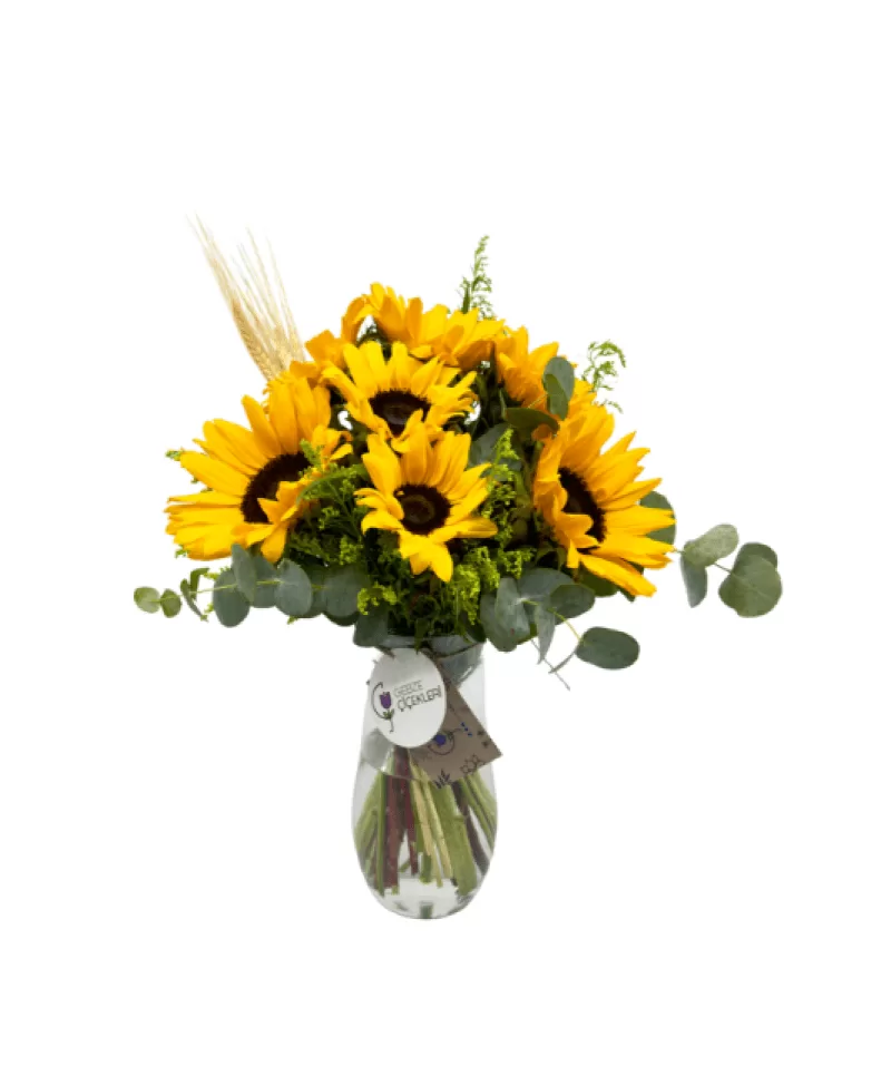 Sunny Bloom Vazoda Ayçiçeği