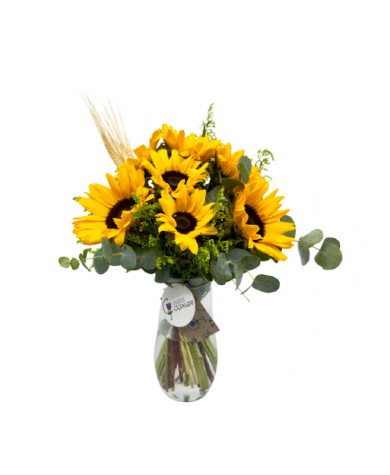 Sunny Bloom Vazoda Ayçiçekleri