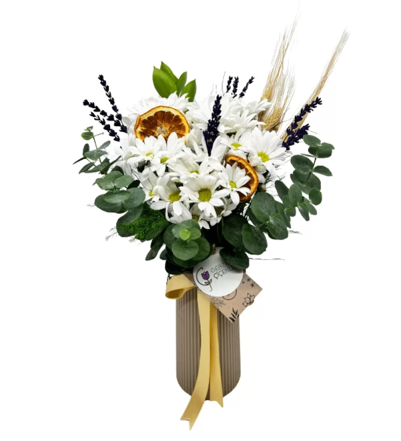 Brownie Vazoda Papatyalar