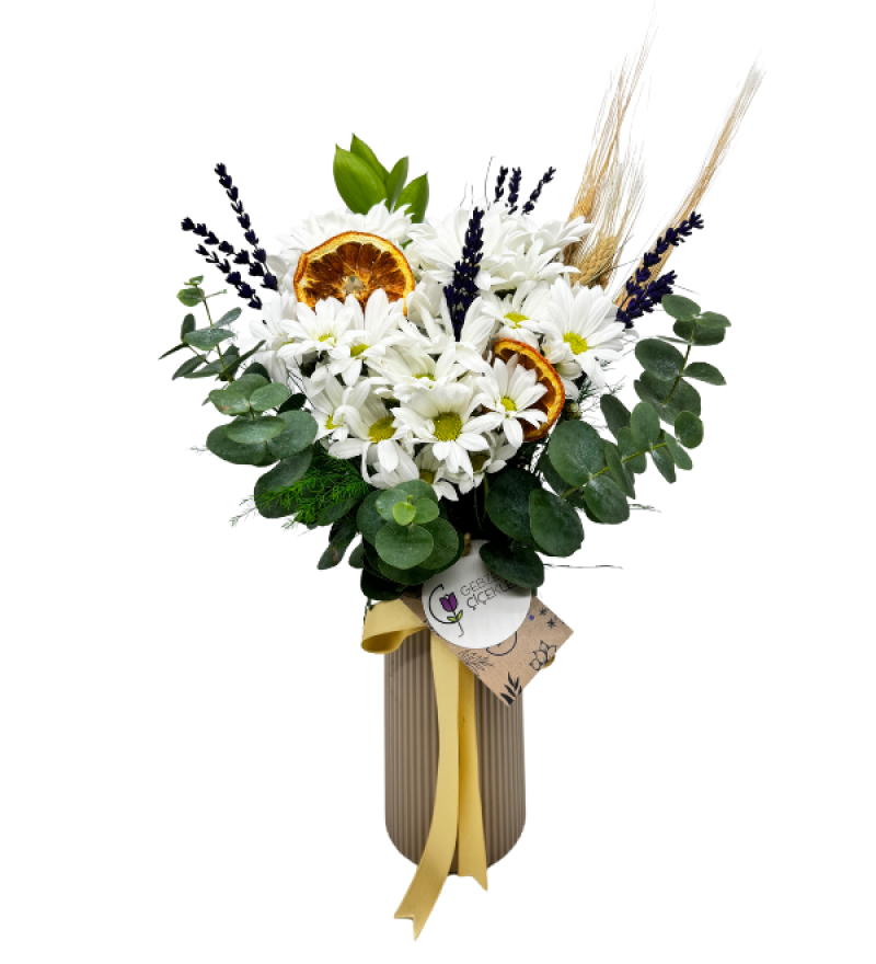 Brownie Vazoda Papatyalar