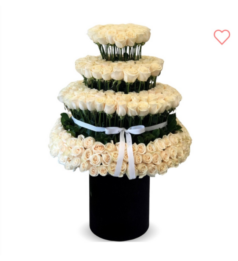 Dev Kutuda 301 Beyaz Gül