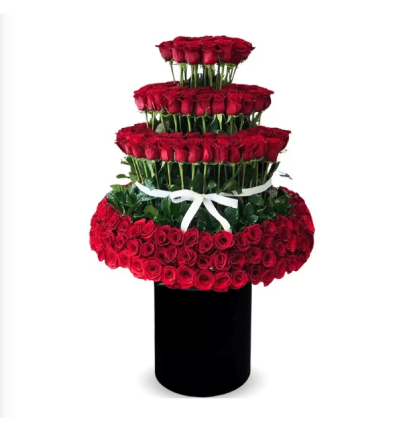 Dev Kutuda 301 Kırmızı Gül