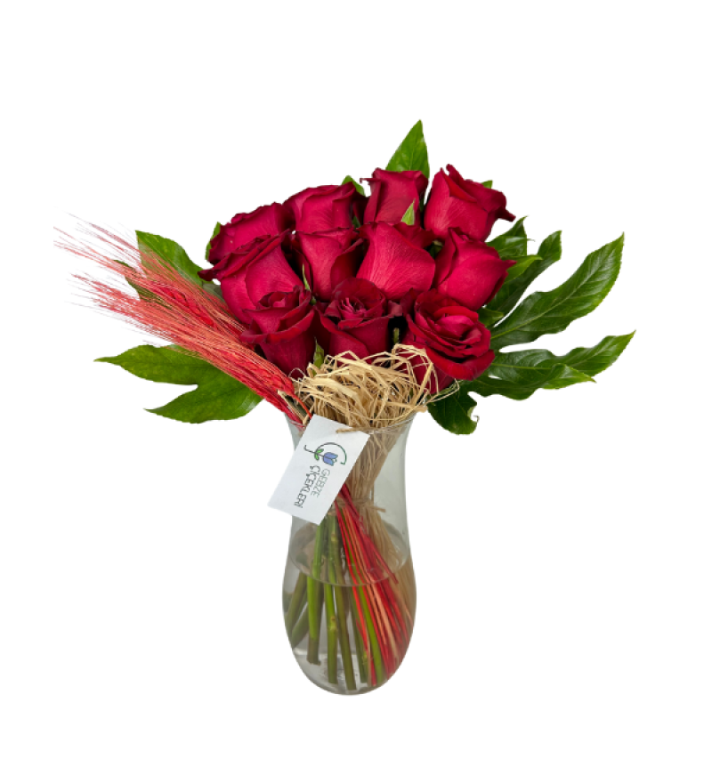 Love Serie's Vazoda 11 Kırmızı Gül
