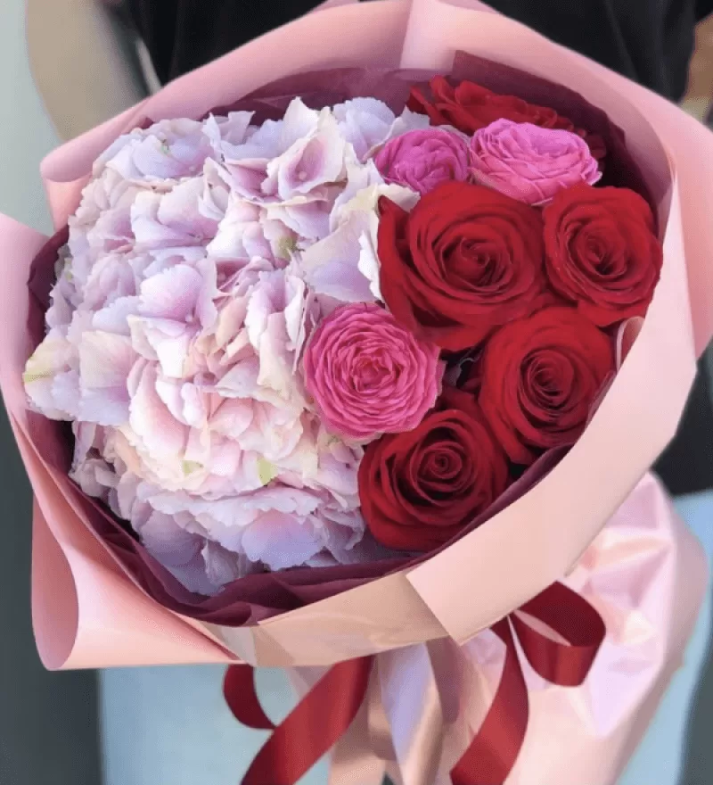 Stars Ortanca & Ekvator Gülleri