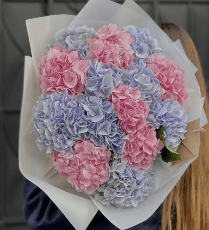 Cloud Ortanca Buketi