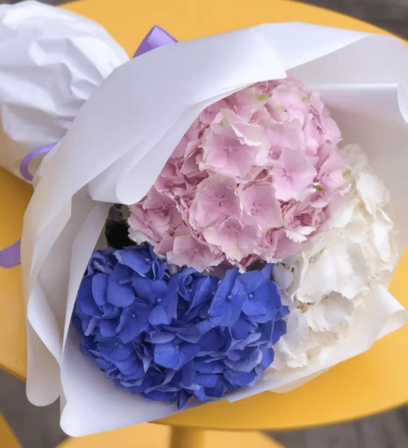 Minnie Ortanca Buketi