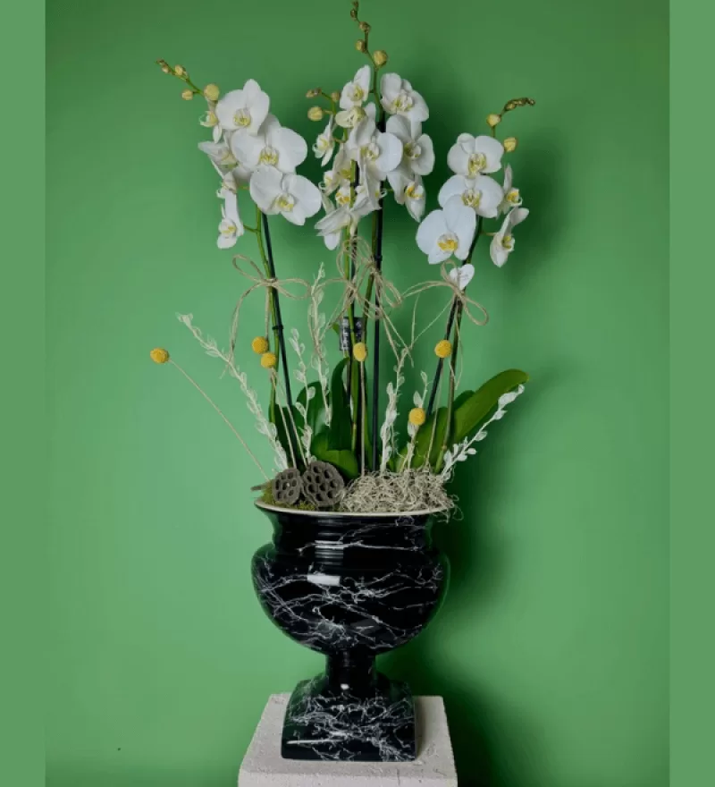 Delicious Orkide Aranjmanı