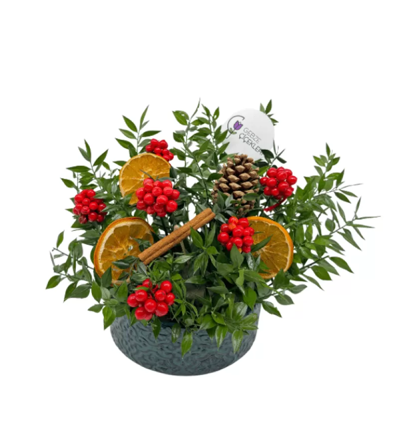 Antica Kokina Aranjmanı