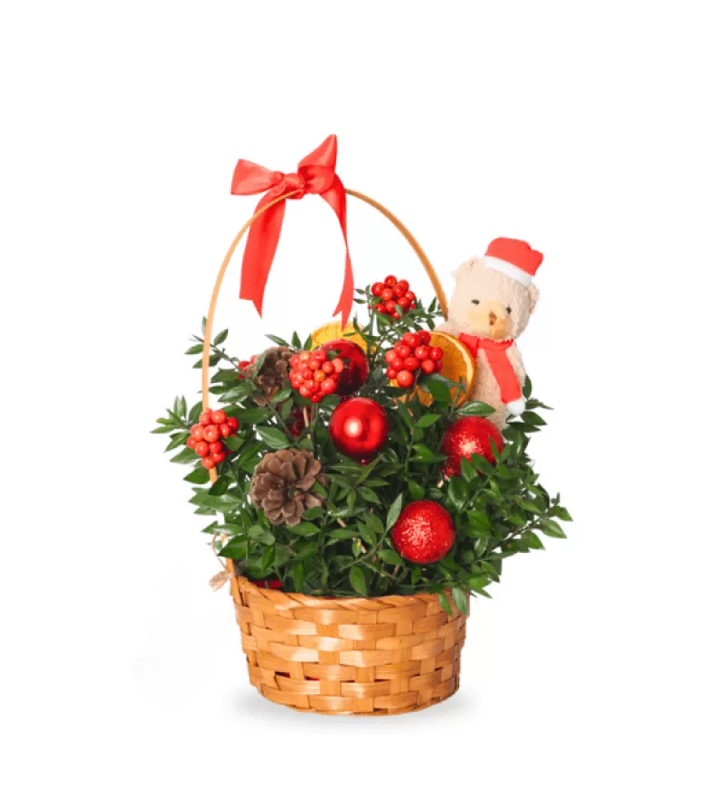 New Year Kokina Sepeti