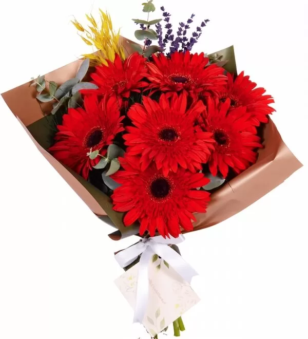Red Garden Gerbera Buketi