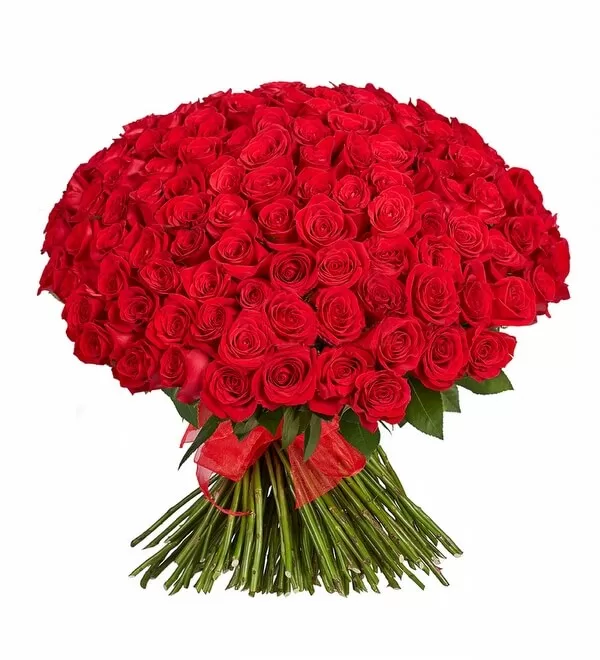 Seni Seviyorum 250 Kırmızı Gül Buketi